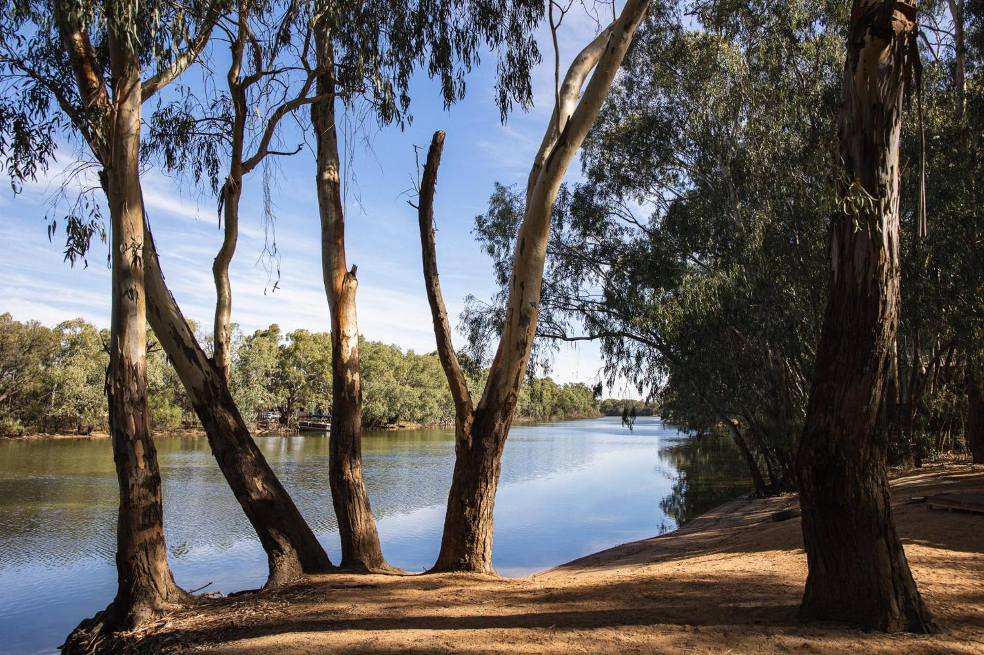 Hotel Nyngan Riverside Tourist Park Zewnętrze zdjęcie