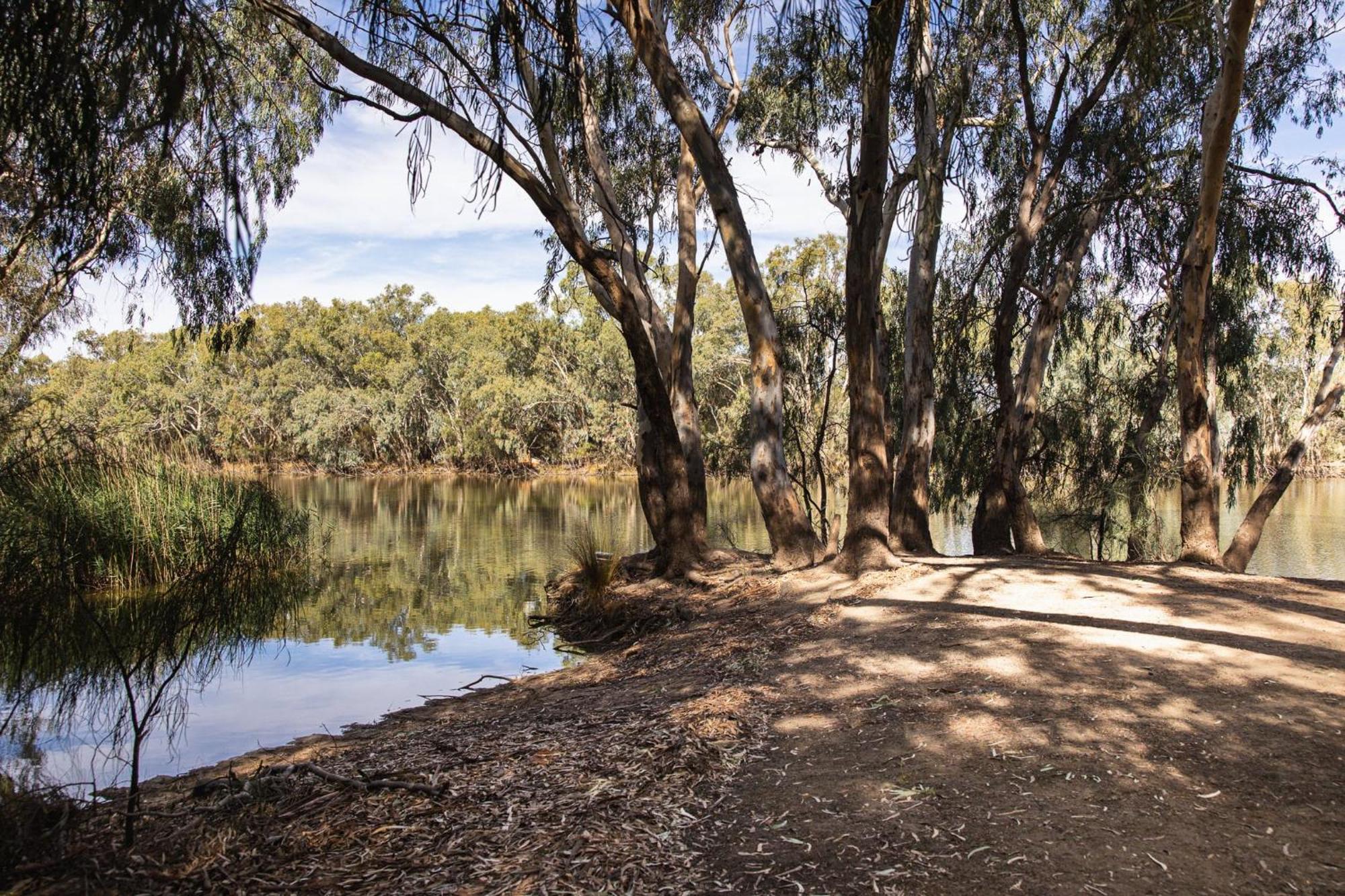 Hotel Nyngan Riverside Tourist Park Zewnętrze zdjęcie